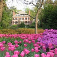 Sherwood Gardens