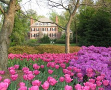 Sherwood Gardens