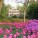 Sherwood Gardens