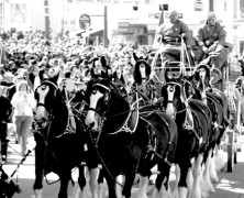 The Orioles & Horseshit in Downtown Baltimore Tonight