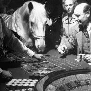 Credit Card Roulette: A Better Way to Pay
