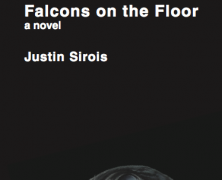 Falcons on the Floor Reading and Release party @ Metro Gallery Tonight