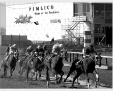 The Chop Goes to Pimlico Today