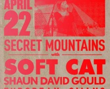 Double Secret Island Swans @ The Windup Cat Tonight