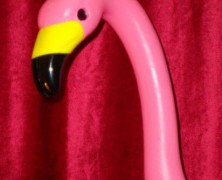 Baltimore Bar Trivia Nights: Part 4